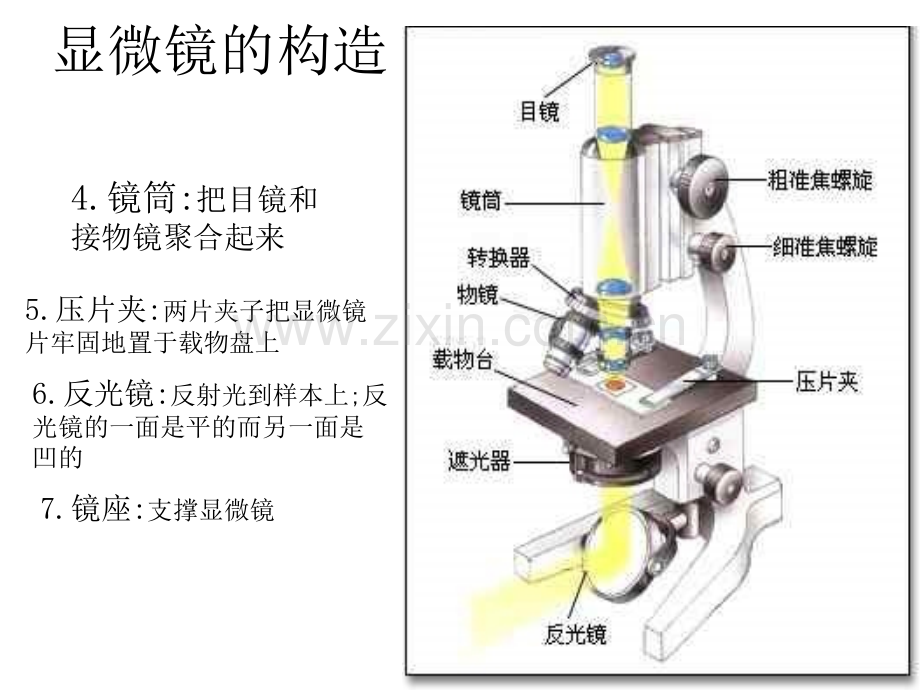 九年级科学显微镜的构造和使用方法.pptx_第1页