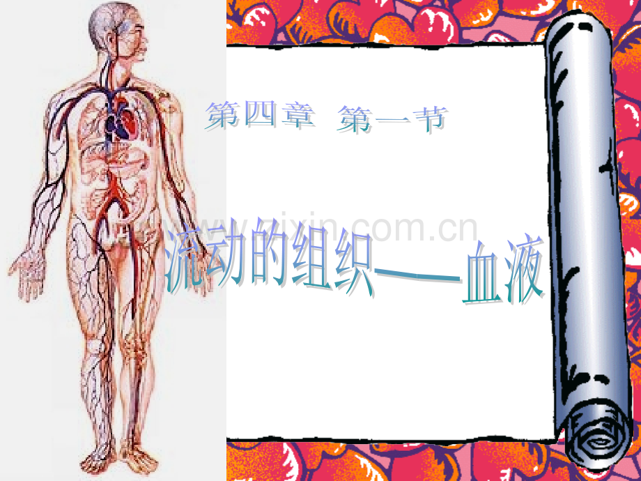 流动的组织——血液(医学PPT课件).ppt_第1页