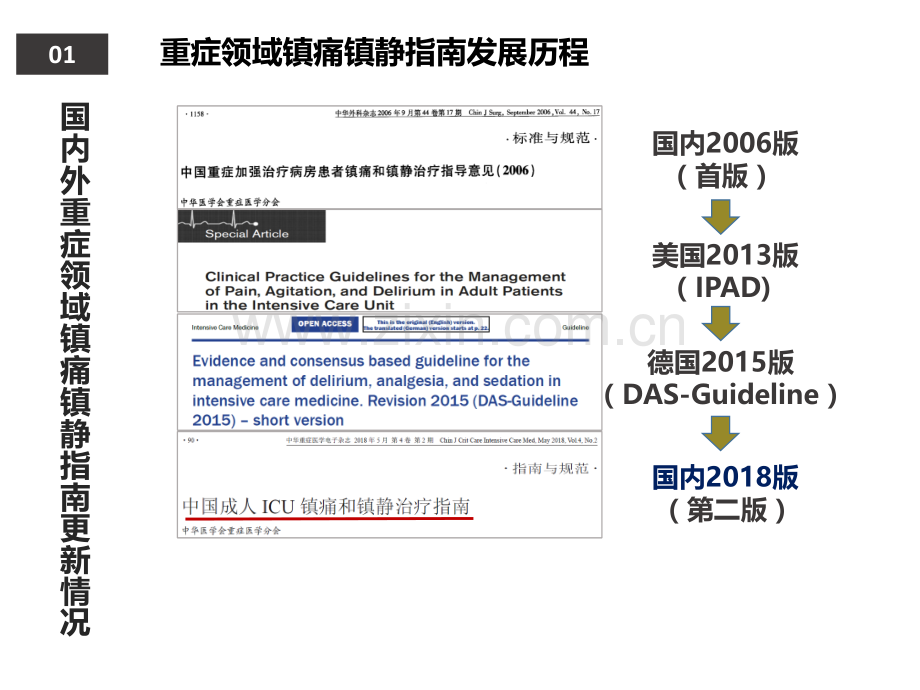 中国成人ICU镇痛和镇静治疗指南解读.pptx_第3页