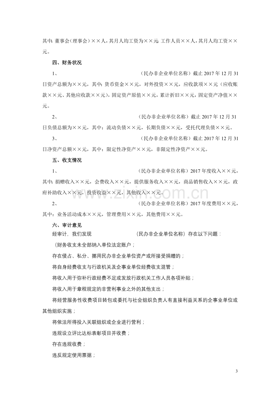 民办非企业单位审计报告模板.doc_第3页