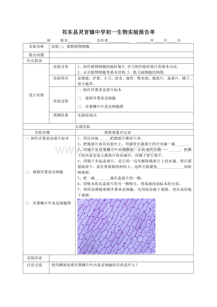 人教版七年级上学期生物实验报告.doc_第3页