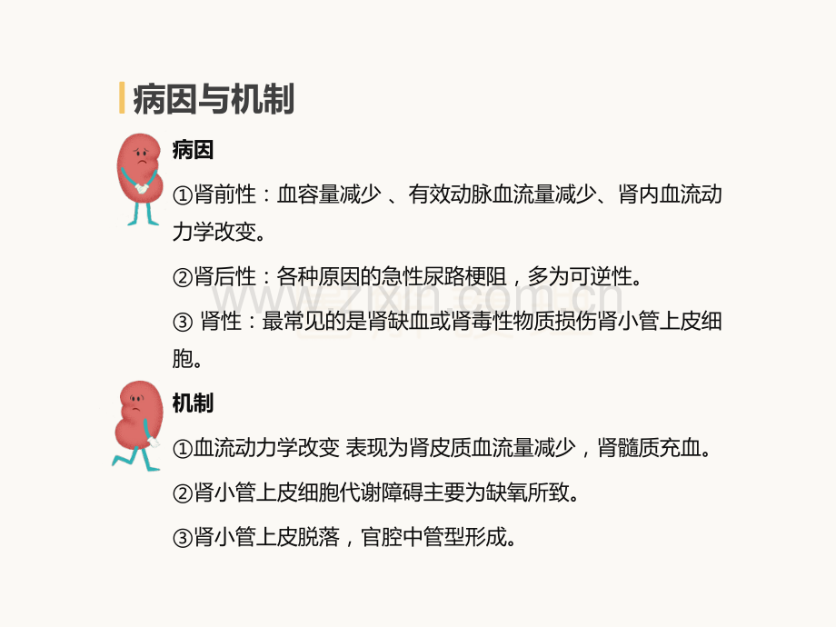 急性肾衰竭的护理.pptx_第2页