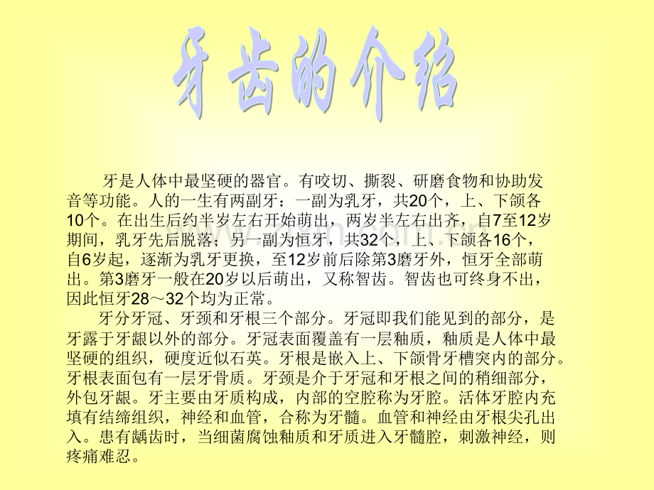 牙是人体中最坚硬的器官有咬切撕裂研磨食物和协助发音等功能.pptx_第2页