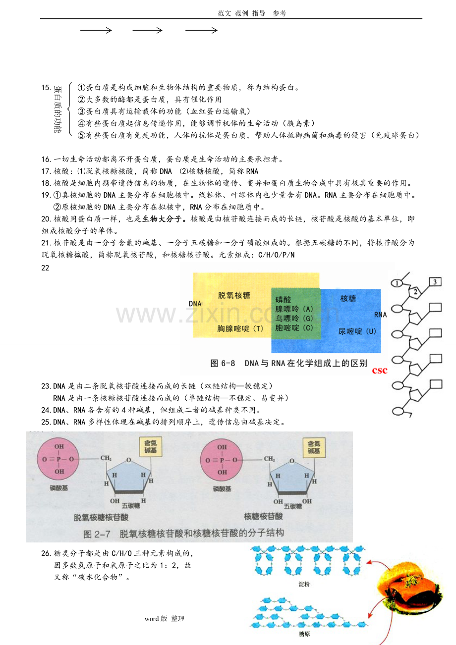 人版高一必修一生物知识点整合.pdf_第3页