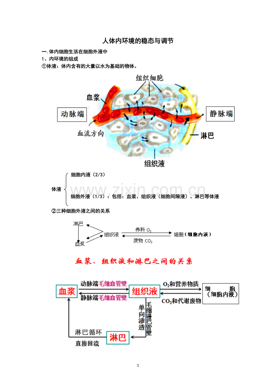 人体内环境的稳态与调节(知识点笔记).pdf_第1页