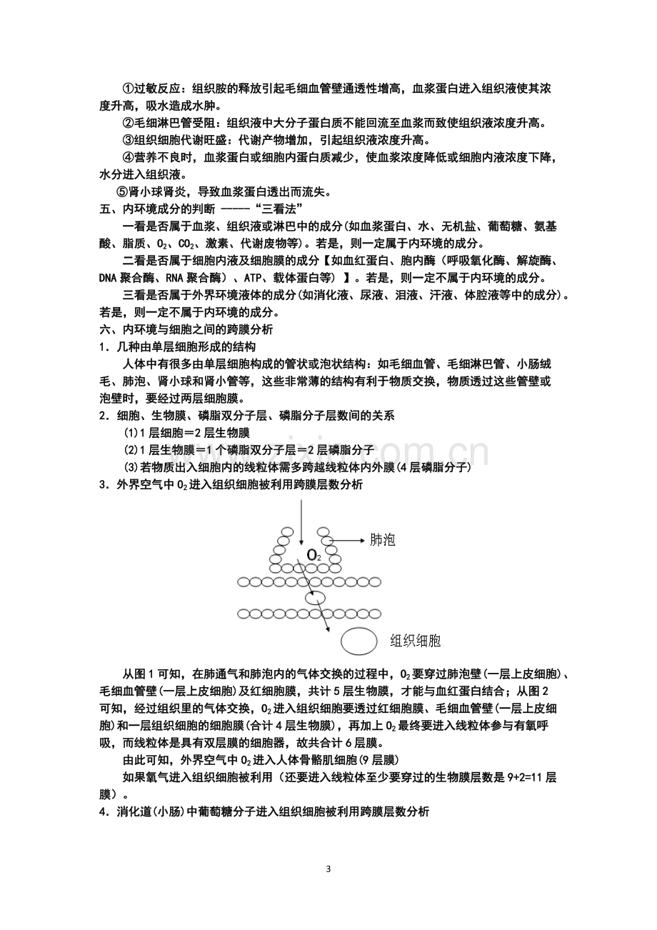 人体内环境的稳态与调节(知识点笔记).pdf_第3页