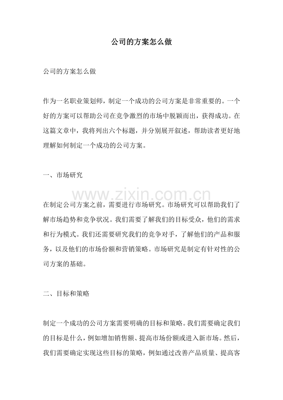 公司的方案怎么做.docx_第1页