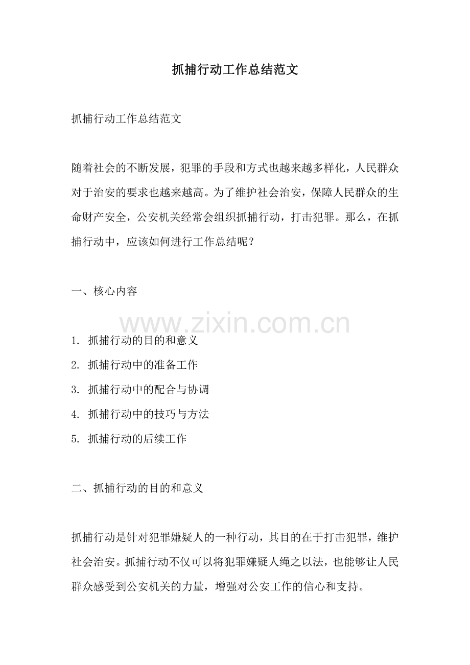 抓捕行动工作总结范文.pdf_第1页