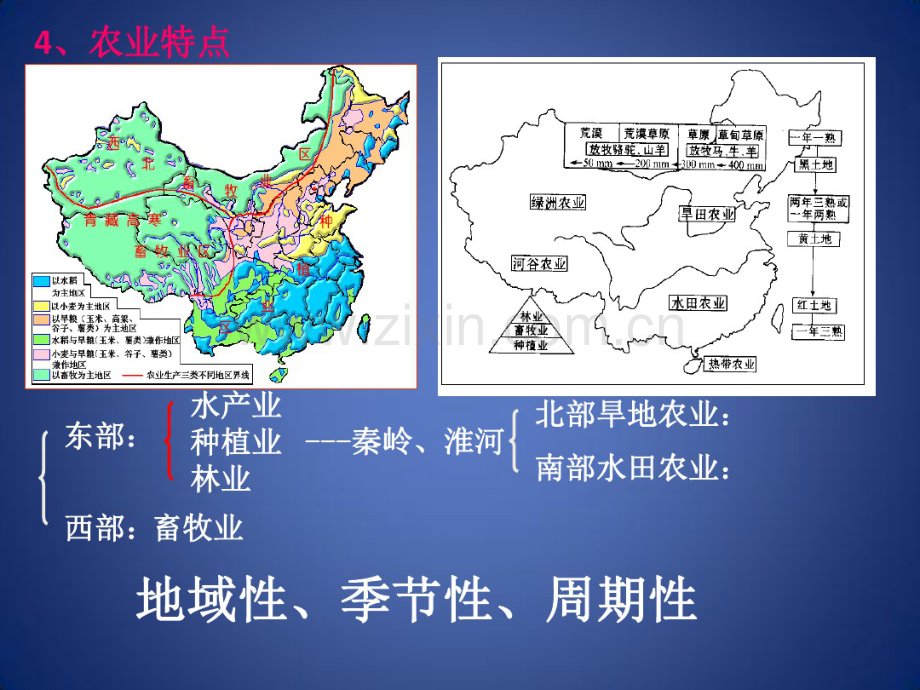 高考地理区域地理中国的农业课件1.pdf_第3页