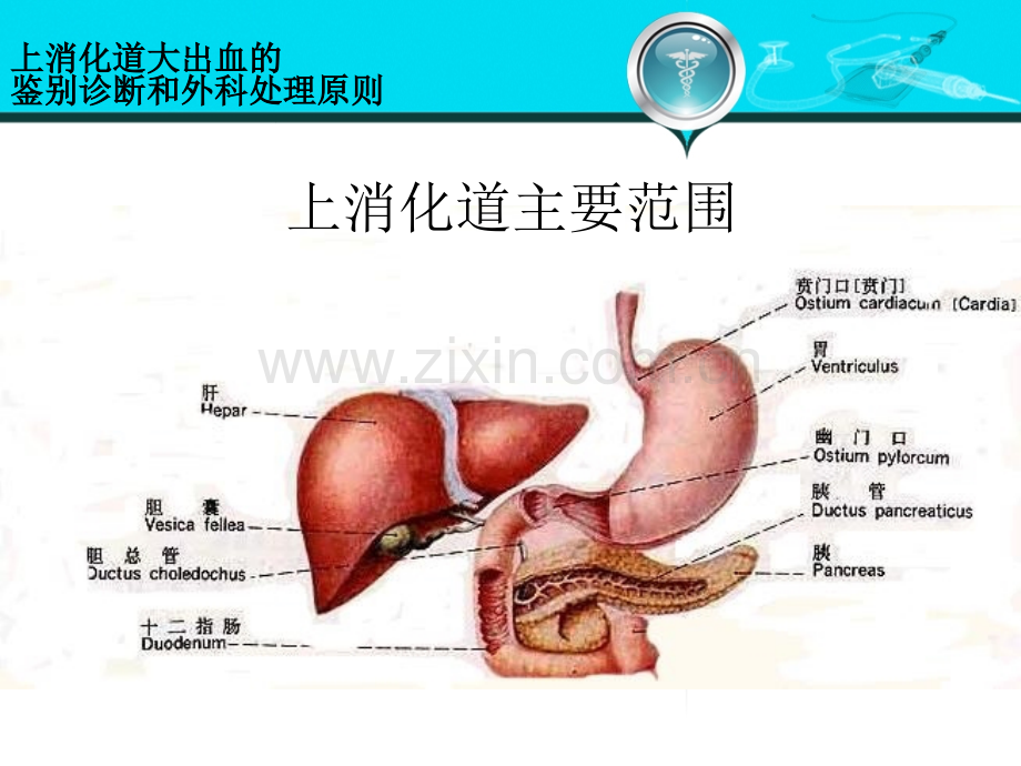 第八版外科学-41-上消化道大出血的鉴别诊断和外科处理原则.ppt_第3页