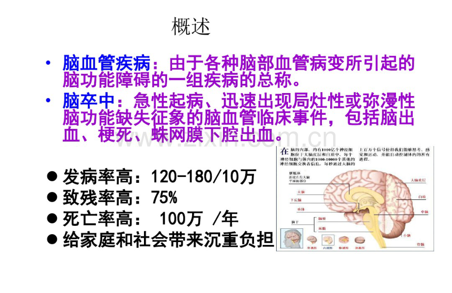 脑血管疾病概述-PPT课件.pdf_第2页