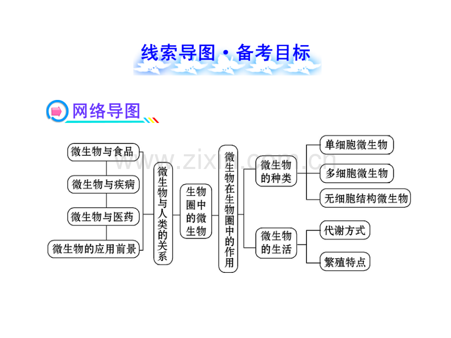 初中生物.ppt_第1页