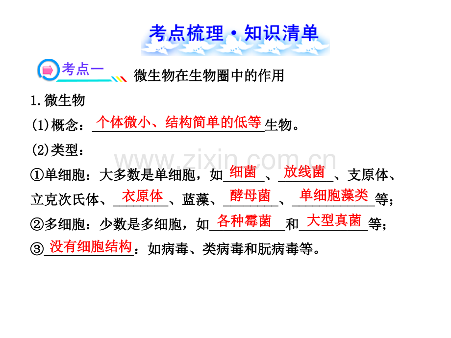 初中生物.ppt_第3页