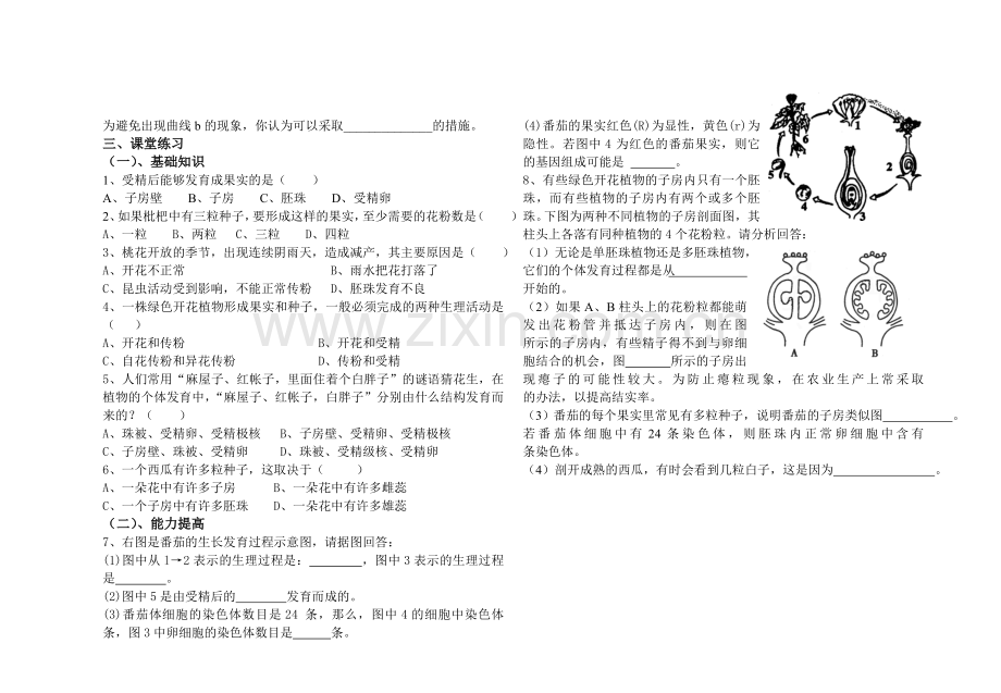 被子植物的开花和结果复习学案.doc_第2页