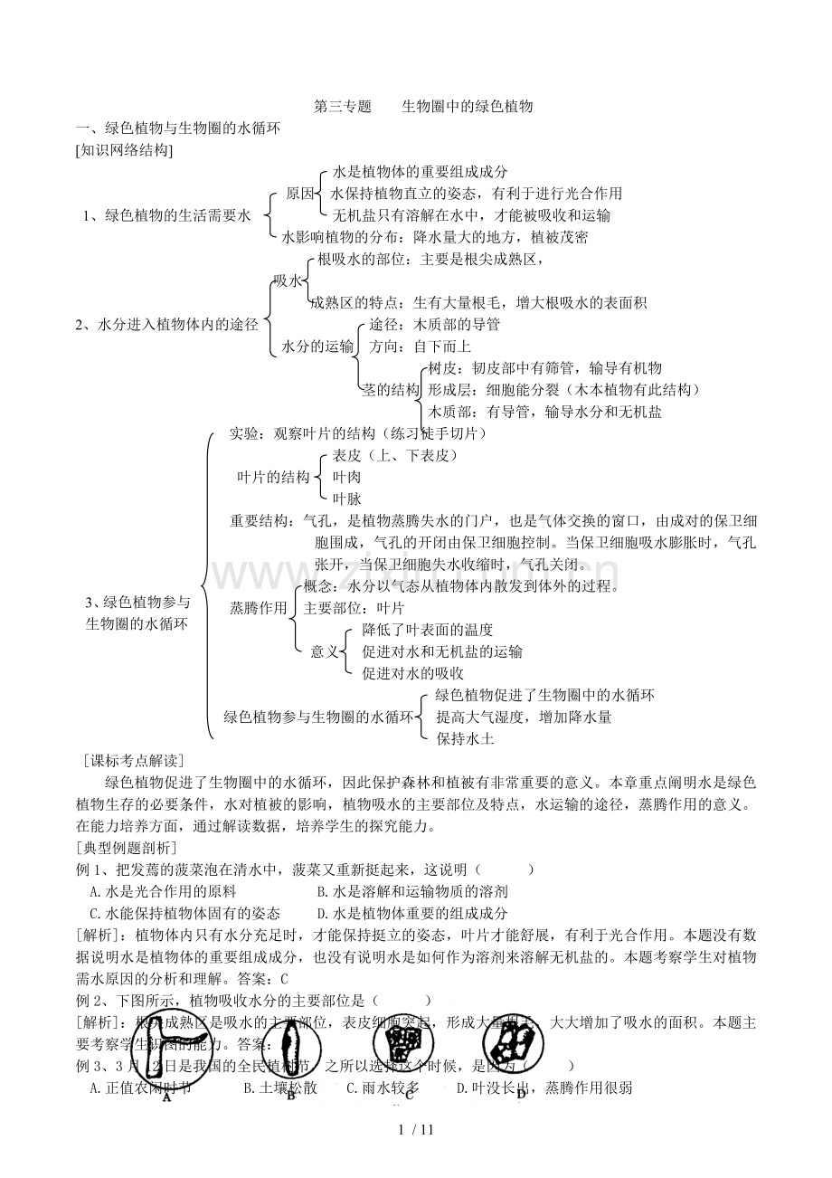 初中生物生物圈中的绿色植物知识点、习题及标准答案.doc_第1页