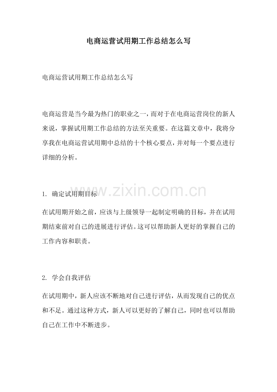 电商运营试用期工作总结怎么写.docx_第1页