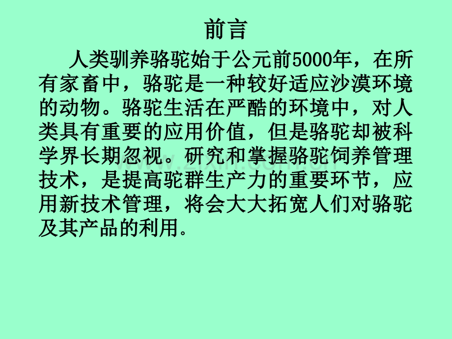 骆驼的养殖技术与常见病防治.ppt_第2页