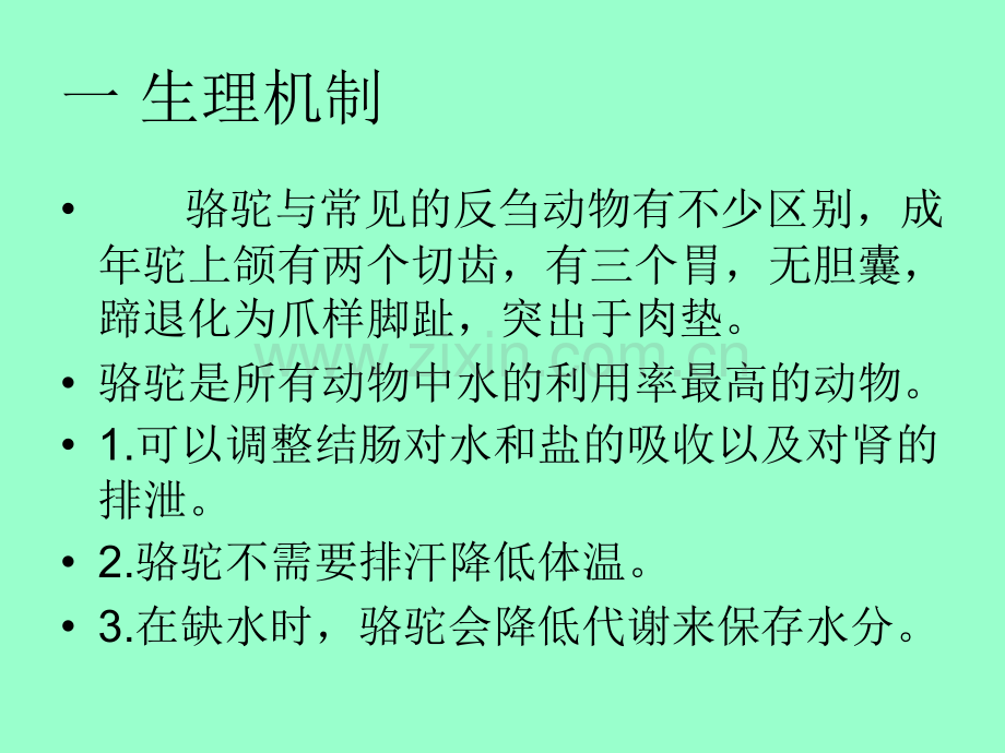 骆驼的养殖技术与常见病防治.ppt_第3页