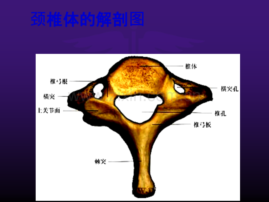 颈椎前路手术的护理配合.ppt_第3页