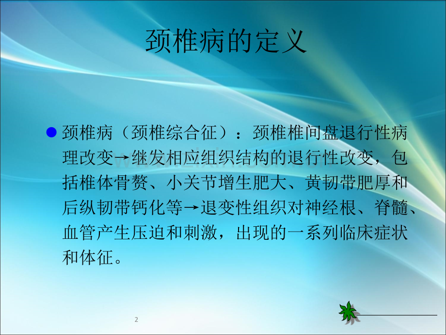 颈椎病的诊断和治疗原则.ppt_第2页