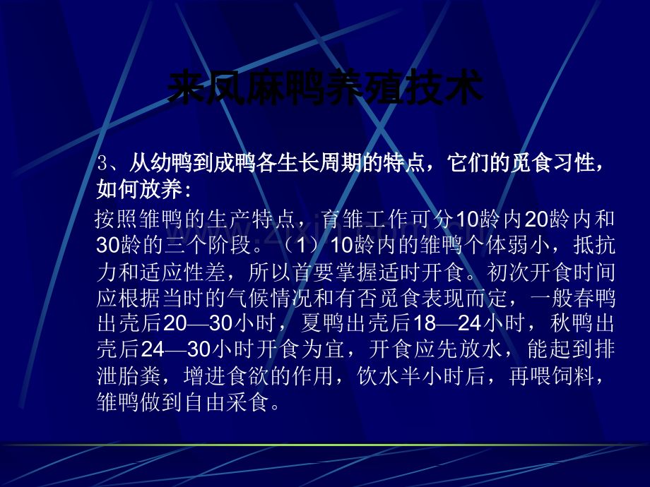 麻鸭养殖技术.ppt_第3页