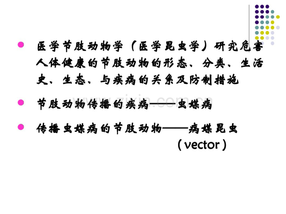 第八篇、医学节肢动物学.pdf_第3页