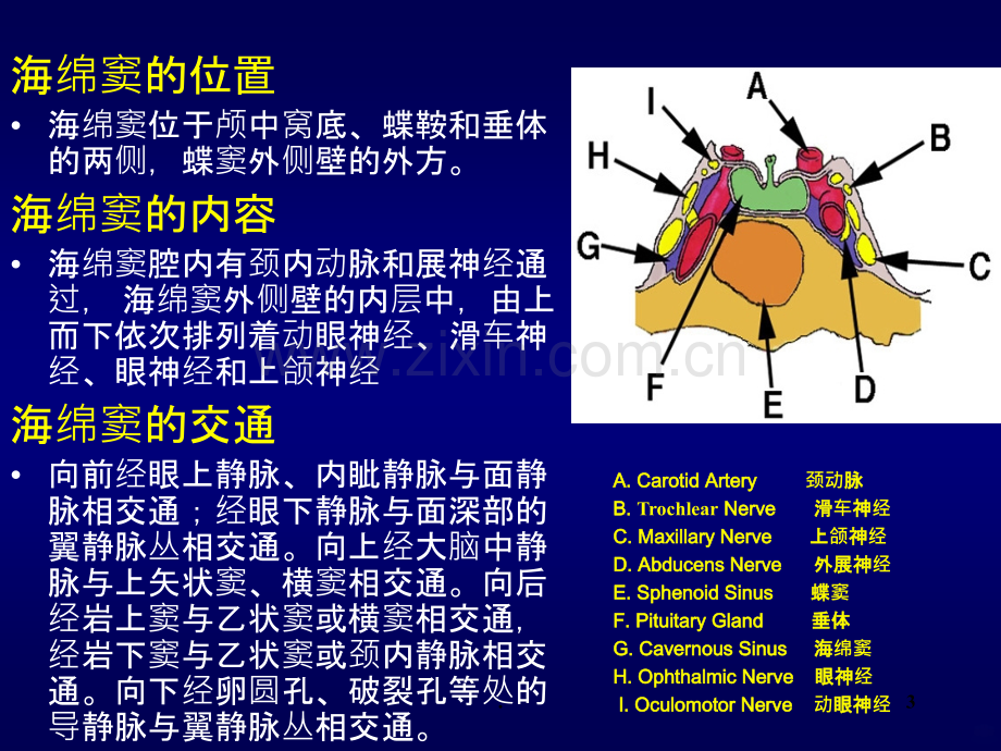 颈动脉海绵窦瘘.ppt_第3页