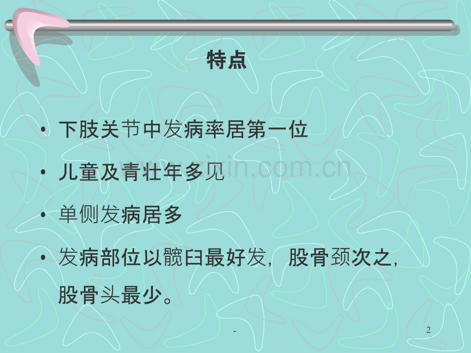 髋关节结核.ppt_第2页