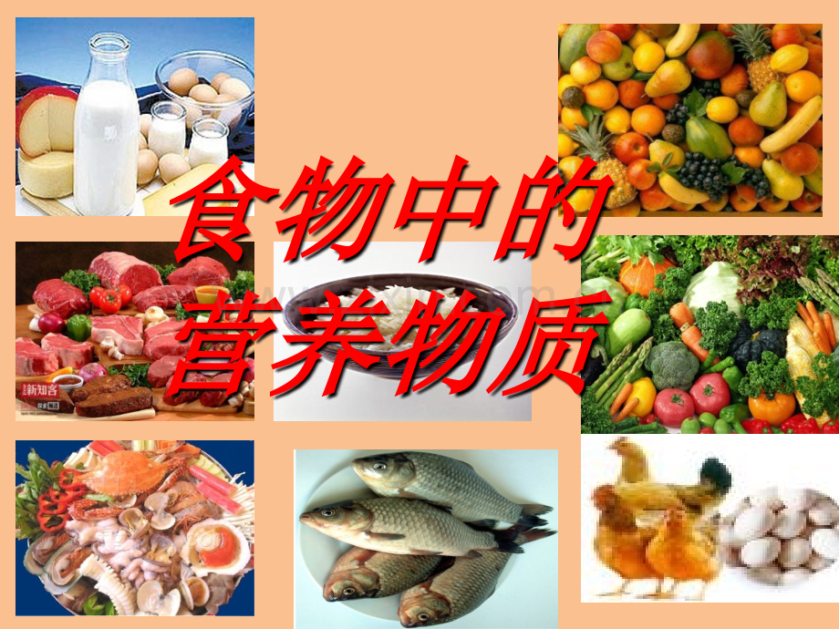 食物中的营养物质ppt课件.ppt_第3页