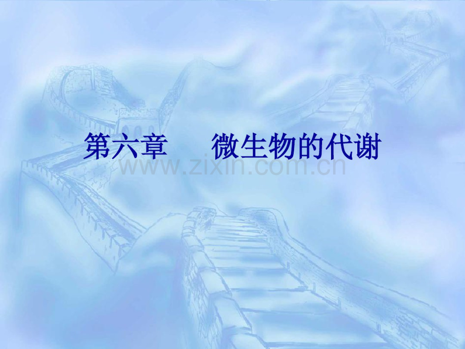 第六章--微生物的代谢.pdf_第1页