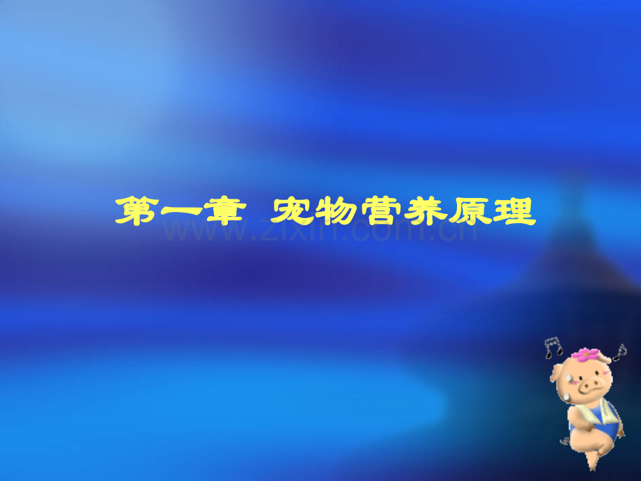 宠物营养学基本知识(能量与宠物营养).ppt_第1页