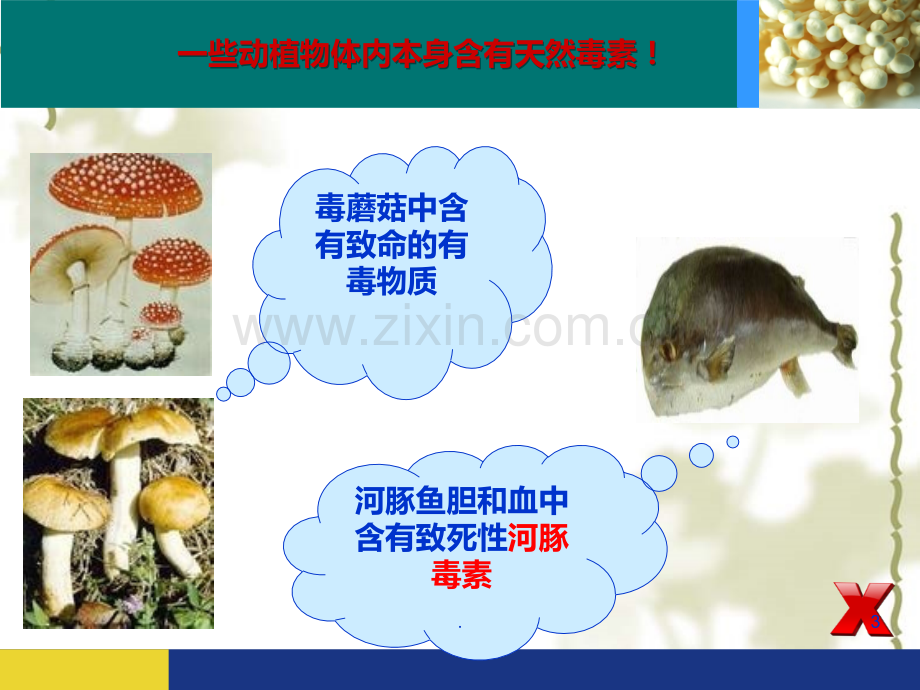 食-品-安-全-你-我-他.ppt_第3页