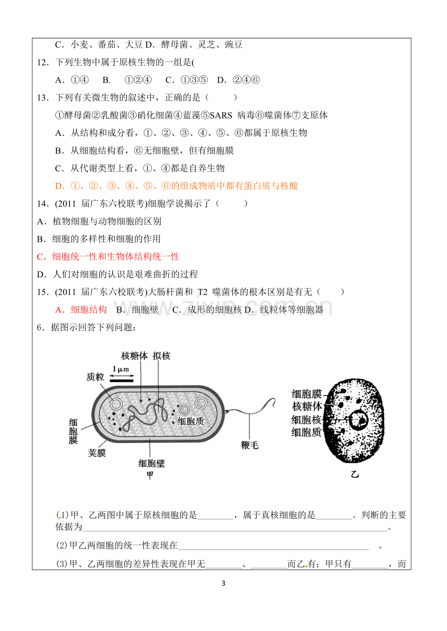 细胞的多样性和统一性-习题.doc_第3页