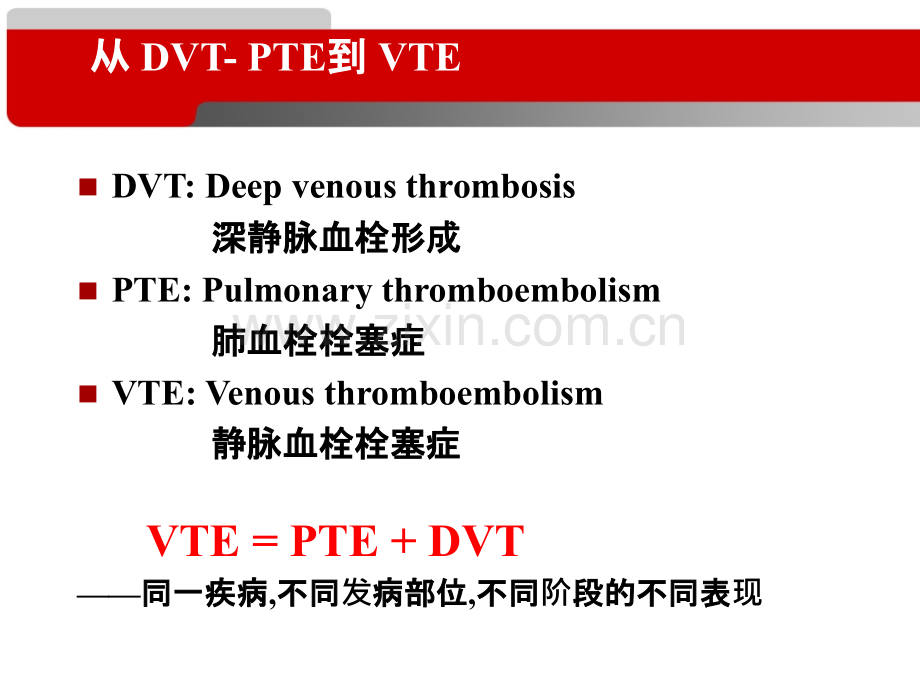 静脉血栓栓塞症.ppt_第3页