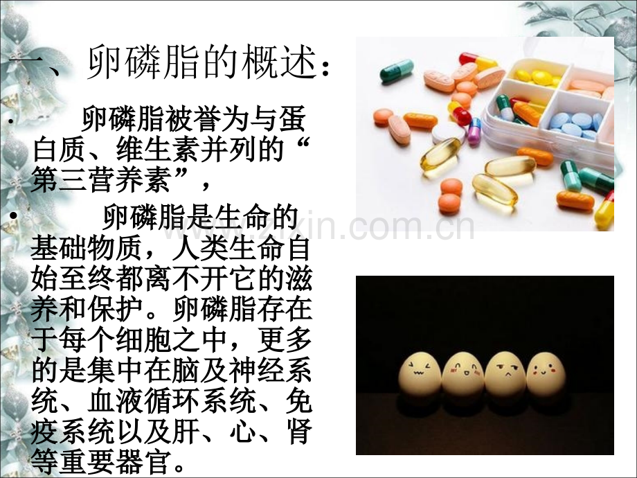 鸡蛋中卵磷脂的提取鉴定.ppt_第2页