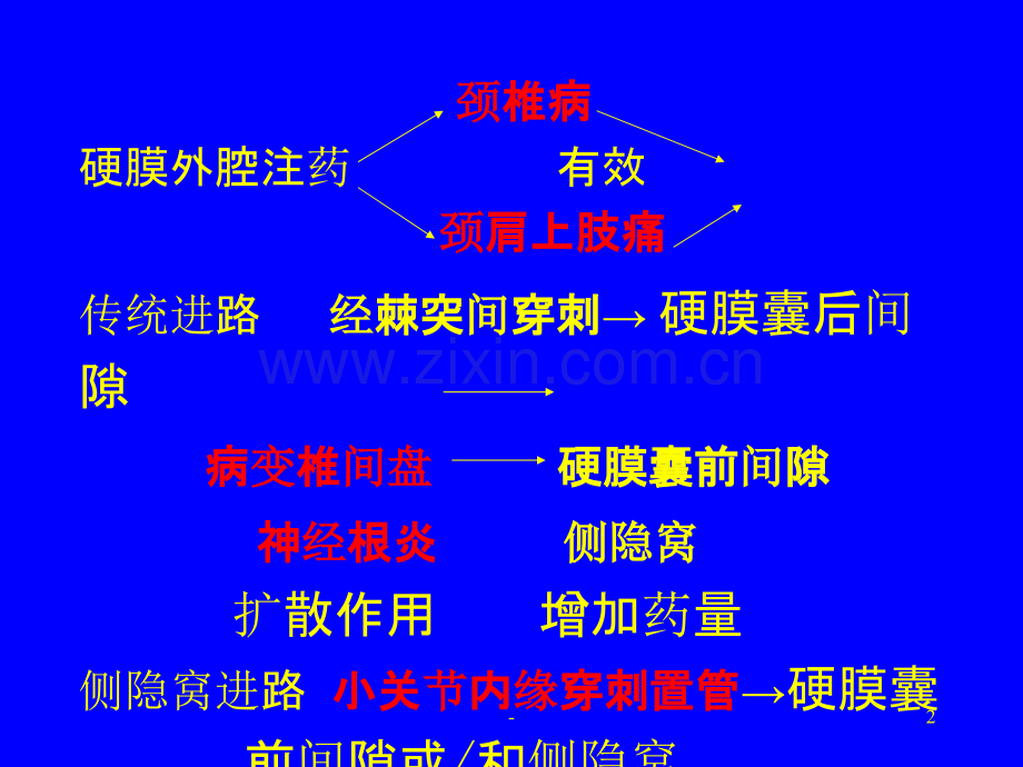 颈段硬膜外腔侧隐窝阻滞.ppt_第2页