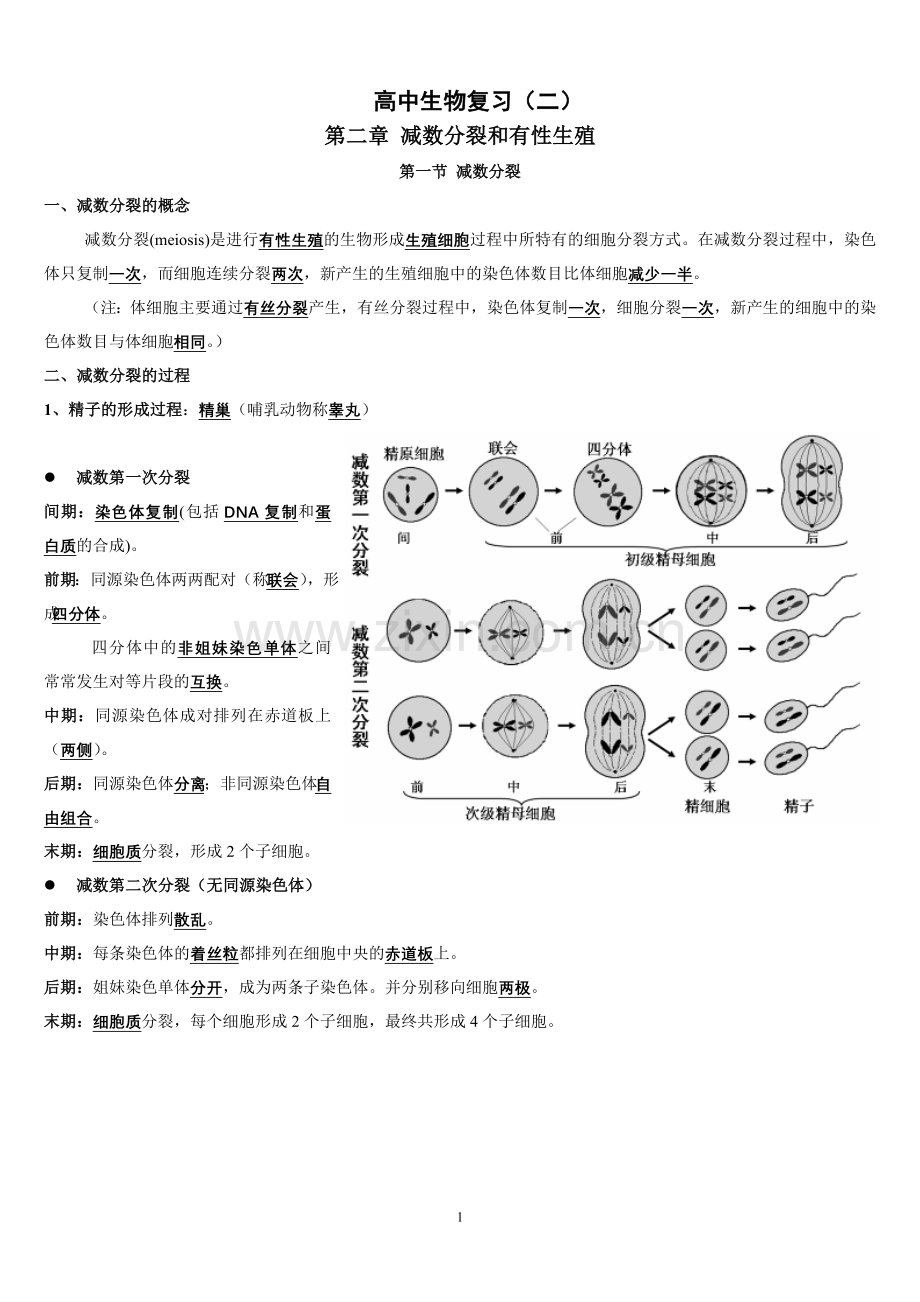 高中生物必修二复习提纲人教版.doc_第1页