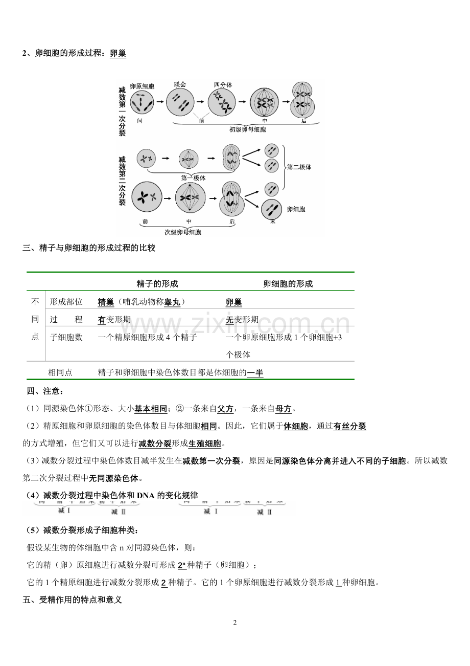 高中生物必修二复习提纲人教版.doc_第2页