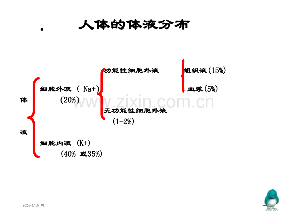 水电解质酸碱平衡失调(医学PPT课件).ppt_第2页