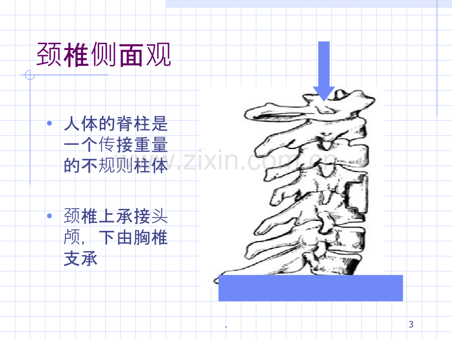 颈椎保健.ppt_第3页