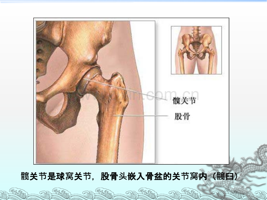 髋关节置换术后功能训练ppt.ppt_第3页