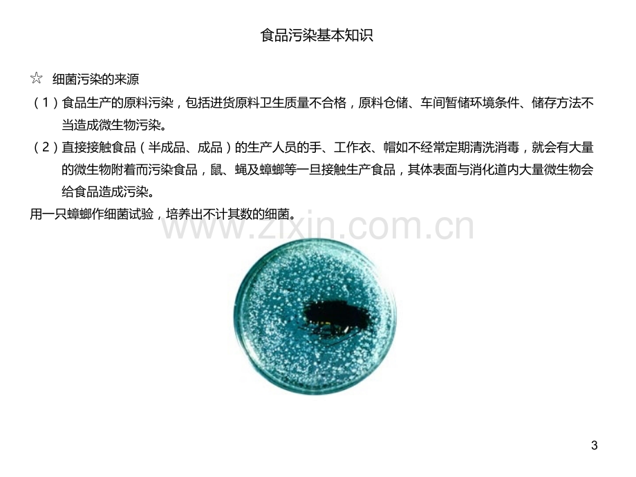 食品卫生知识培训基础教材.ppt_第3页