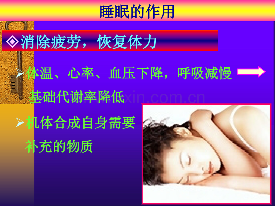 充足睡眠与健康ppt课件.ppt_第3页