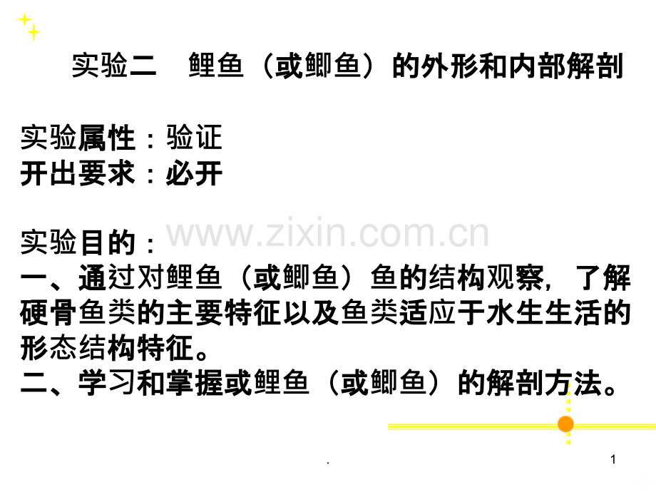 鲤鱼或鲫鱼的外形和内部解剖.ppt_第1页