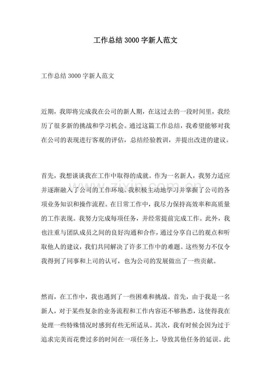 工作总结3000字新人范文.docx_第1页