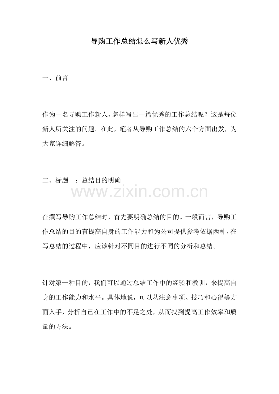 导购工作总结怎么写新人优秀.docx_第1页