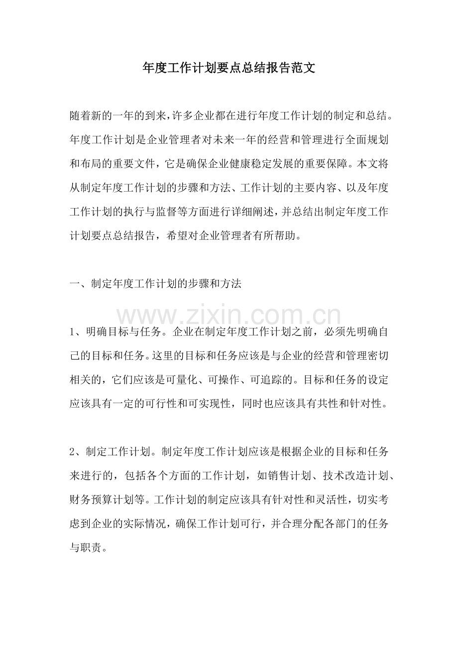 年度工作计划要点总结报告范文.docx_第1页