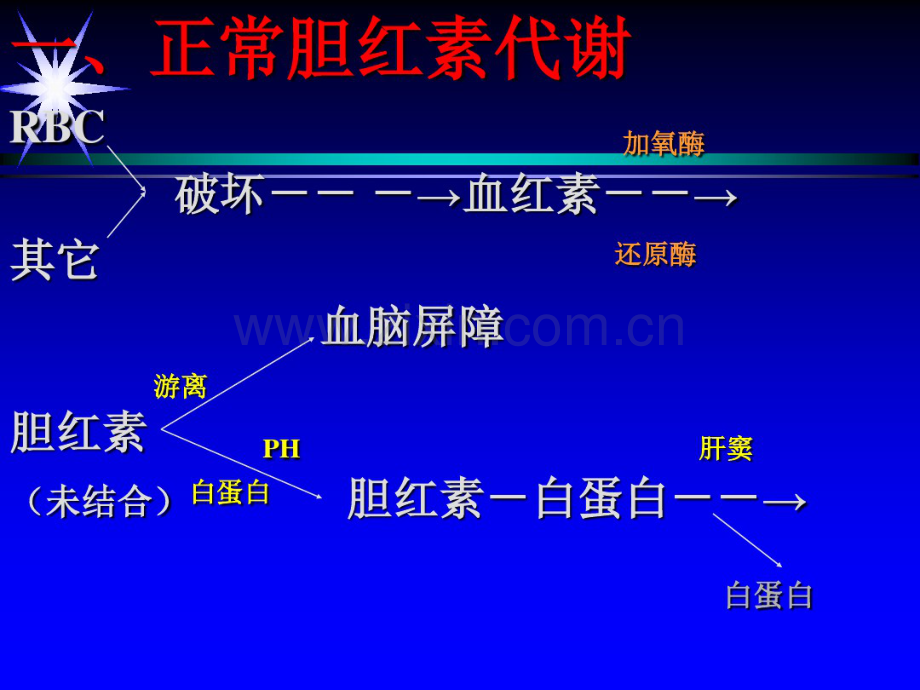 新生儿黄疸.pdf_第3页