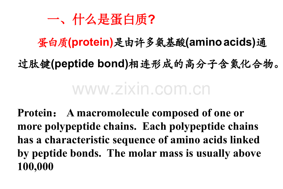 蛋白质的结构与功能.ppt_第3页