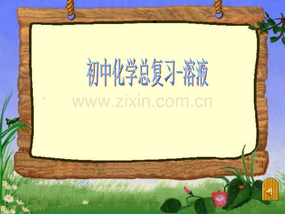 初三化学溶液复习.ppt_第1页